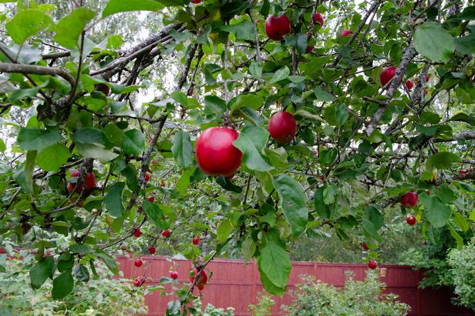 3 rum Villa på Tjärnavägen 15 Gagnef Gagnefs kommun - bild 44