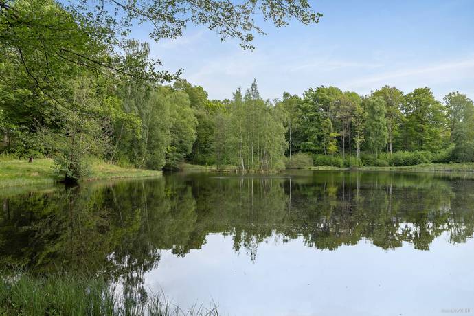 gård/skog på Unik skogsfastighet med vidsträckt utsikt över Hjälmsjön – en plats för drömmar och möjligheter! Örkelljunga, Örkelljunga kommun - bild 2