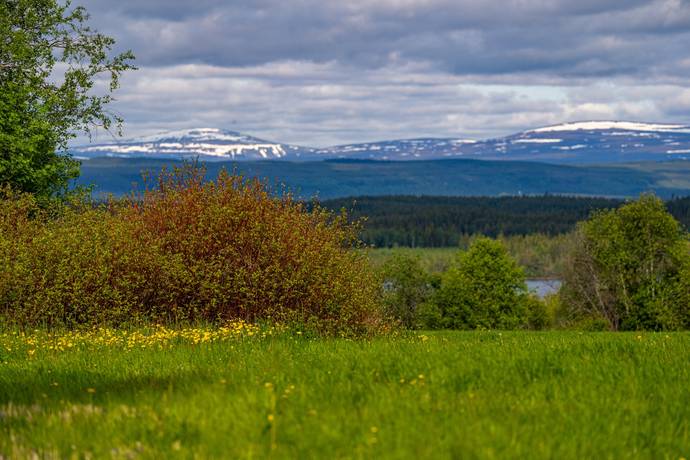 Gård med jordbruk på Salom Bergs kommun - bild 33