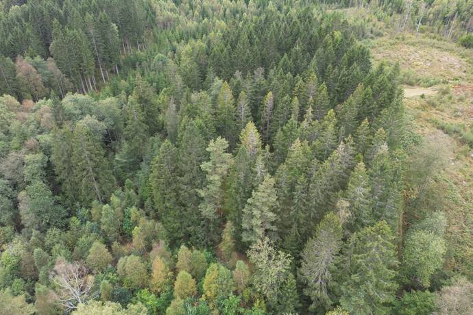 Gård/skog på HYLTE BRÄNNÖ 1:2 Hylte kommun - bild 6
