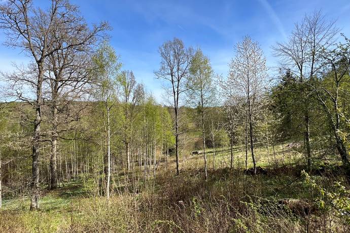 4 rum Villa på Hemsjövägen 99 Hemsjö Alingsås kommun - bild 31