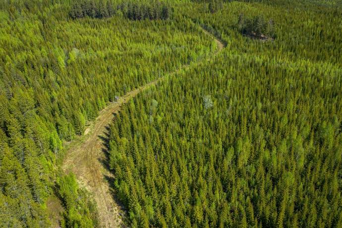 Gård med skogsbruk på Sollefteå Moflo 5:28 Moflo Sollefteå kommun - bild 28