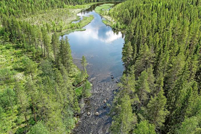 2 rum Gård/skog på Tjärliden 41 Arvidsträsk Älvsbyns kommun - bild 25