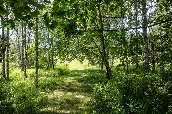 3 rum fritidshus på Moga 21 Almunge / Moga, Uppsala kommun - bild 3