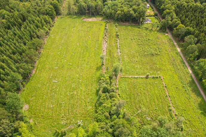 Tomt på Drömtomt med generösa 13 hektar – positivt förhandsbesked, jakträtt och vacker natur nära Billinge! Billinge Eslövs kommun - bild 2