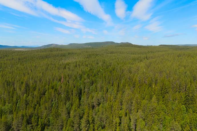 Gård/skog på Ytterberg 431 Ytterberg Härjedalens kommun - bild 2