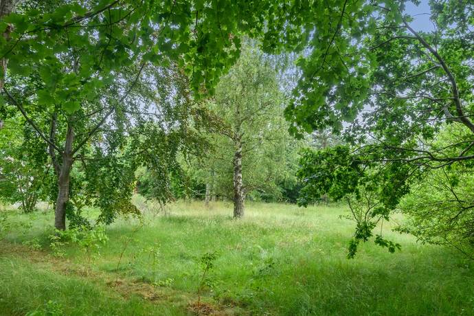 tomt på Plommonvägen 10 Brösarp, Tomelilla kommun - bild 1