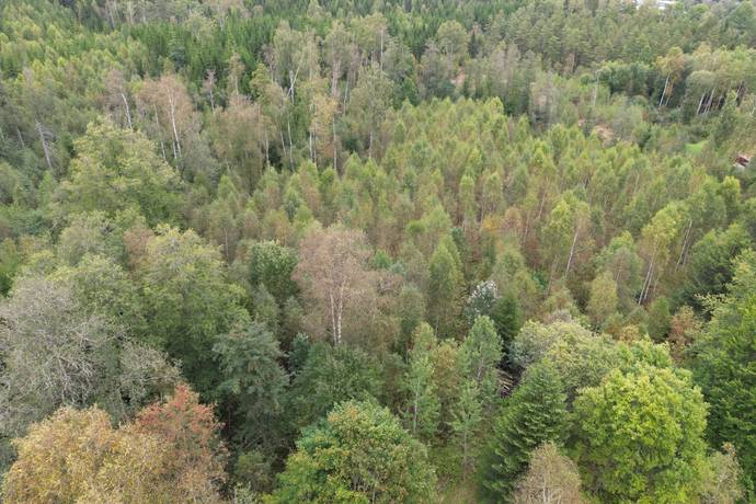 Gård/skog på HYLTE BRÄNNÖ 1:2 Hylte kommun - bild 10