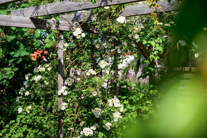7 rum villa på Friggavägen 1 Torsång, Borlänge kommun - bild 3