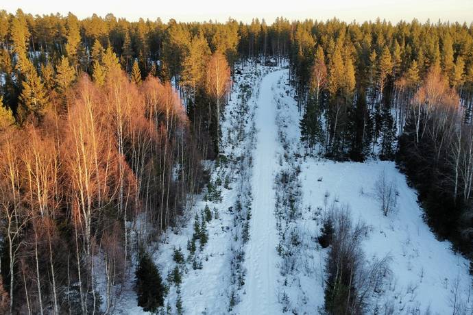 Gård med skogsbruk på Nya Ånäset Bygdeå Robertsfors kommun - bild 3