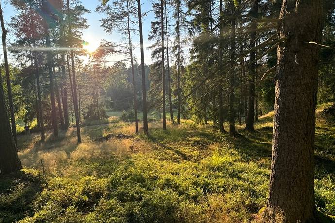 tomt på Edövägen 10 Svartnö - Furusund, Norrtälje kommun - bild 1