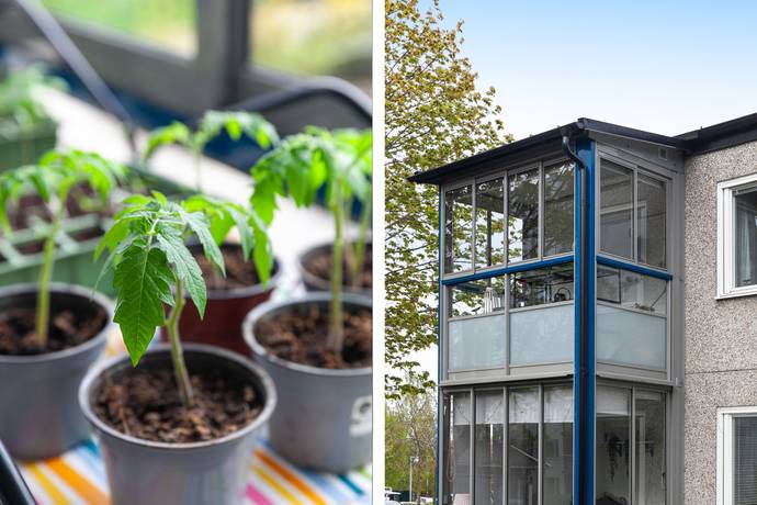 2 rum Lägenhet på Dalhemsvägen 45C Dalhem/Kjellstorp Helsingborgs kommun - bild 6