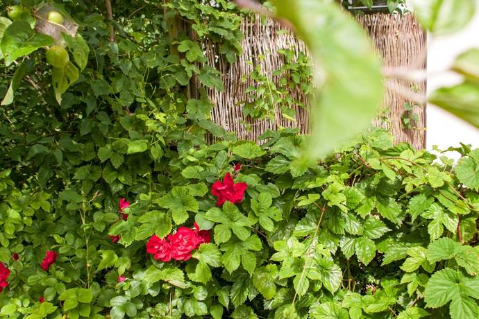 4 rum villa på Möllarevägen 3 Flackarp, Staffanstorps kommun - bild 5