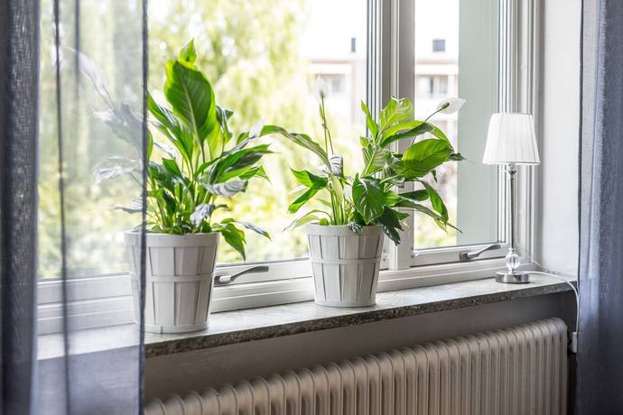 1 rum Lägenhet på Himmelstalundsvägen 38 Norrköping Norrköpings kommun - bild 7