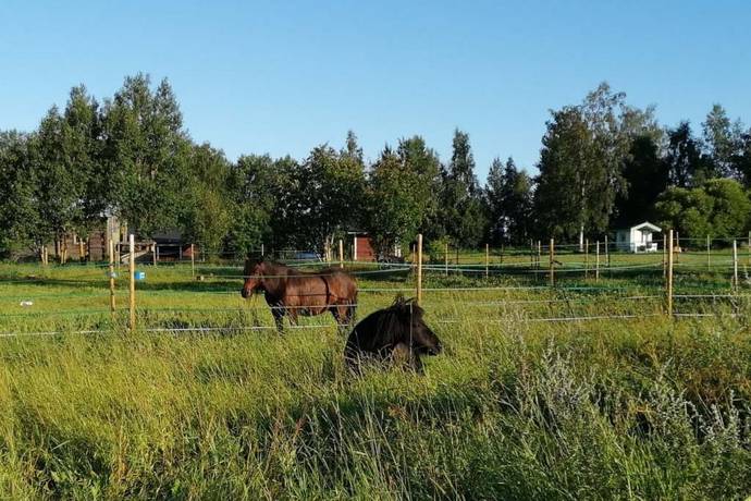 3 rum Villa på Markskogsvägen 129 Persön Luleå kommun - bild 59