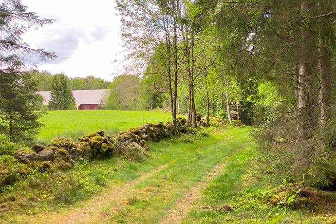 Gård med jordbruk på Dannäs Jonsbo 4 Dannäs ca 4 km från sjön Bolmen Värnamo kommun - bild 27