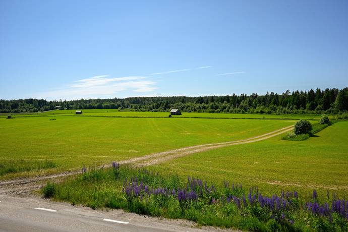 5 rum Villa på Fiskeby 5 HUDIKSVALL Hudiksvalls kommun - bild 37