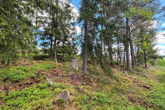 Gård utan jordbruk på Hällahester 1 Hällahester, Eksjö Eksjö kommun - bild 80