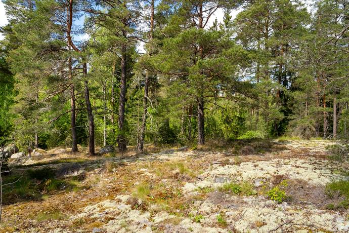 Tomt på Anneviksvägen 28 Hällby Eskilstuna kommun - bild 22
