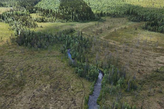gård med skogsbruk på Skog Storuman Långnäs Storuman, Storumans kommun - bild 3