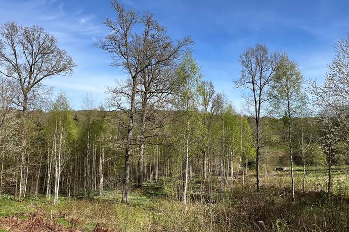 4 rum Villa på Hemsjövägen 99 Hemsjö Alingsås kommun - bild 30
