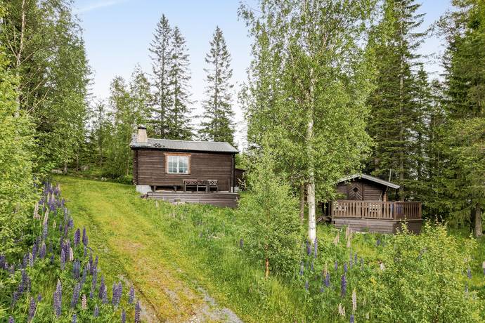 2 rum fritidshus på Häggsåsen 914 Oviken, Bergs kommun - bild 3