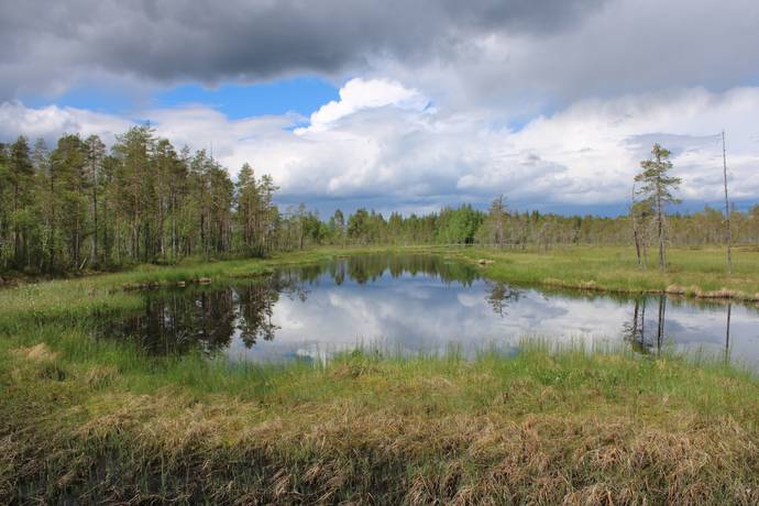Skellefteå-Grannäs, Boliden, Skellefteå kommun