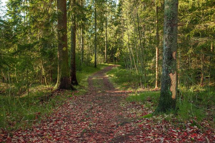 3 rum Lägenhet på Stenmarksvägen 6 Haga Umeå kommun - bild 33