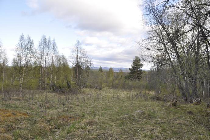 Gård utan jordbruk på Glissjöberg 435 Glissjöberg Härjedalens kommun - bild 54