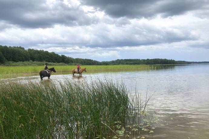 9 rum Gård utan jordbruk på Flatvik 610  Flatvik Karlstads kommun - bild 34