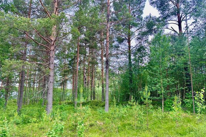 64 m² Gård/skog på Mosätt 249 Mosätt Härjedalens kommun - bild 23
