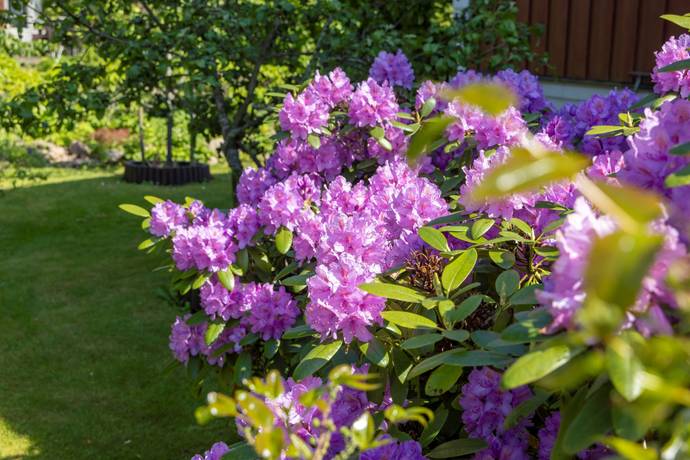 196 m² Villa på Fogdegårdsvägen 34 Varnhem Skara kommun - bild 31