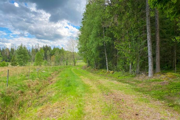 Gård med jordbruk på Dannäs Jonsbo 4 Dannäs ca 4 km från sjön Bolmen Värnamo kommun - bild 40