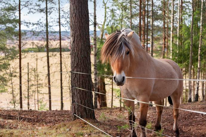 3 rum Villa på Larséns väg 7 Gagnef Gagnefs kommun - bild 54
