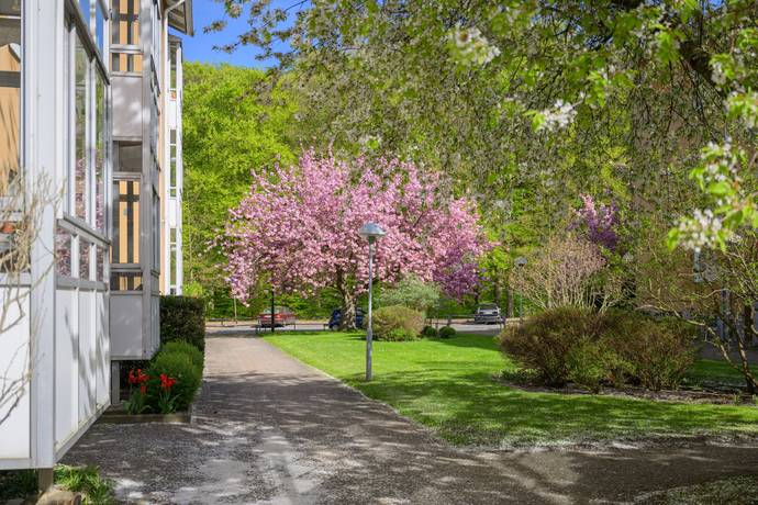2 rum Lägenhet på Roskildevägen 31B Pildammarna Malmö kommun - bild 23