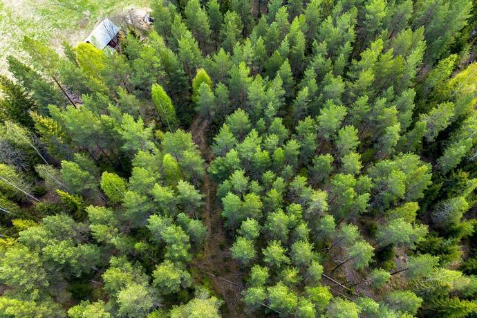 Gård/skog på Edsmon 151 Sollefteå kommun - bild 36