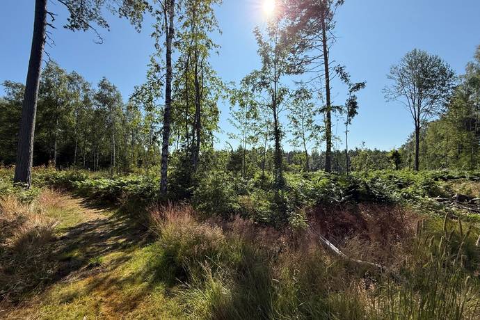 tomt på Stockenäs 1:33  Mellerud, Melleruds kommun - bild 3