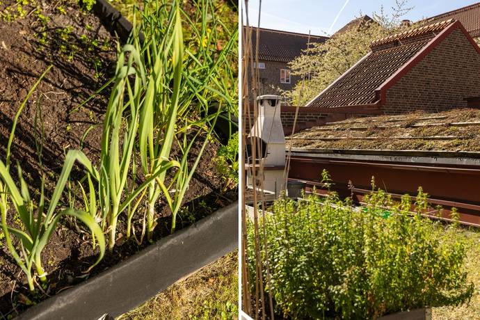 2 rum Lägenhet på Celsiusgatan 13B Rörsjöstaden Malmö kommun - bild 16