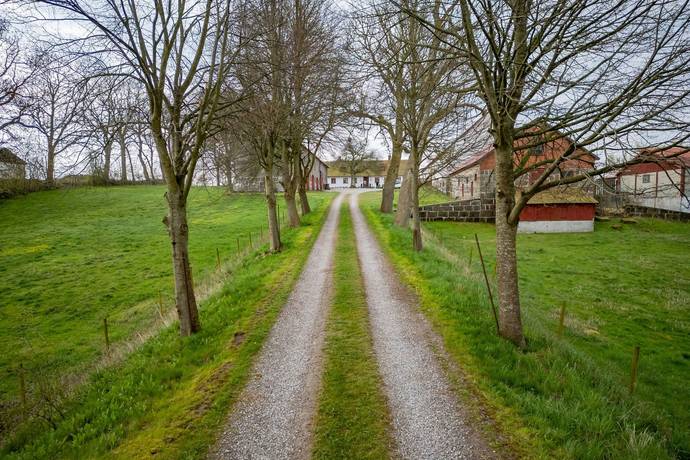 230 m² Gård/skog på Hedeberga Hedenborg 1 Österlen Tomelilla kommun - bild 2
