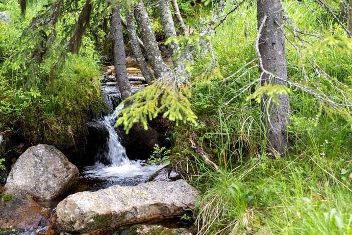65 m² Fritidshus på Stugvägen 16B Storhogna Bergs kommun - bild 17