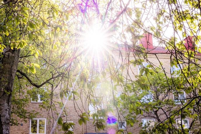 1 rum Lägenhet på Doktor Hjorts Gata 4A Södra Guldheden Göteborgs kommun - bild 19