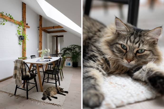 3 rum Lägenhet på Kommendörsgatan 9A Rörsjöstaden Malmö kommun - bild 17
