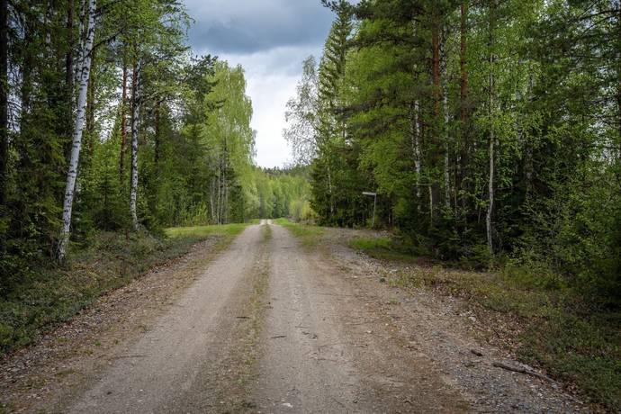 Gård med skogsbruk på Sollefteå Moflo 5:28 Moflo Sollefteå kommun - bild 5