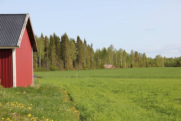 Gård/skog på Ale Ale Luleå kommun - bild 17