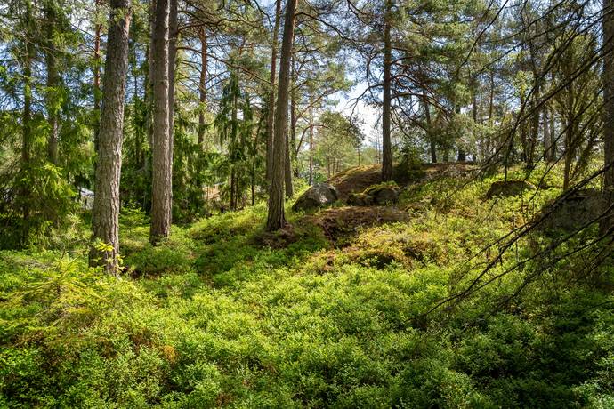 Tomt på Anneviksvägen 28 Hällby Eskilstuna kommun - bild 26