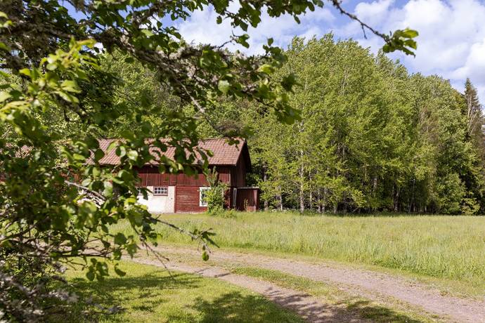 3 rum Gård med jordbruk på Fallsboda 214 Örbyhus Tierps kommun - bild 6