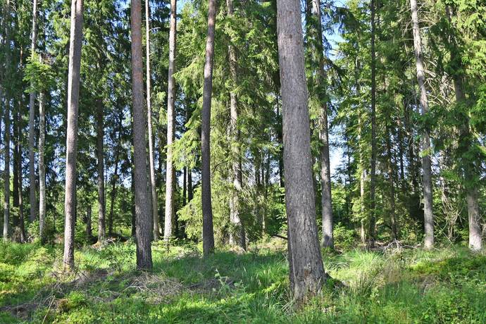 7 rum Gård/skog på Odensjö-Hyltan 1 Småland Ljungby kommun - bild 55