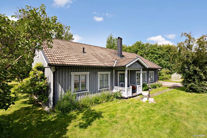 Freluga Smensbacken 4476 - Bild 2