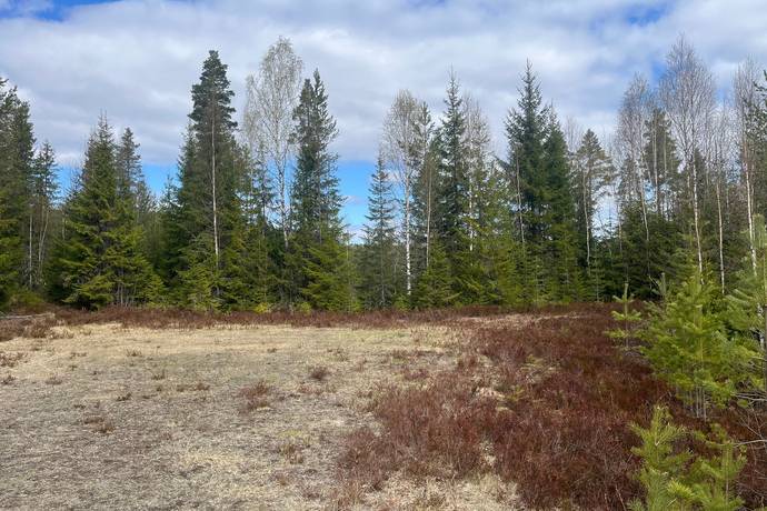 Gård med skogsbruk på Leksand Ytteråkerö 21:21 Björberget Leksands kommun - bild 26