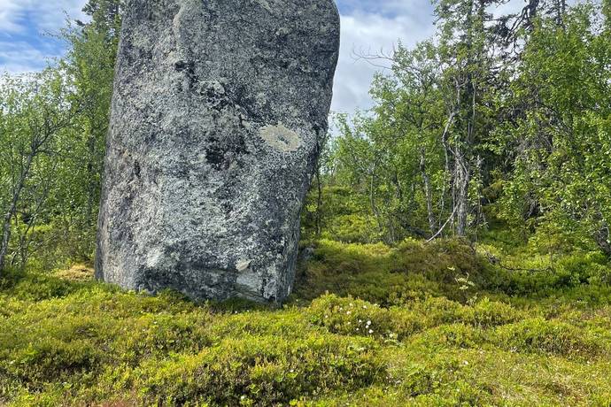 gård med skogsbruk på Lillberg Lillberg, Lycksele kommun - bild 3